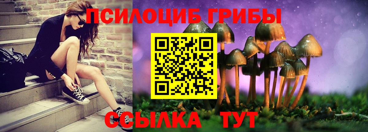 где купить наркоту  Псилоцибиновые грибы Psilocybine cubensis  Вход с VPN  Менделеевск 